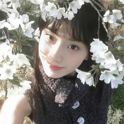 行尸之惧第六季